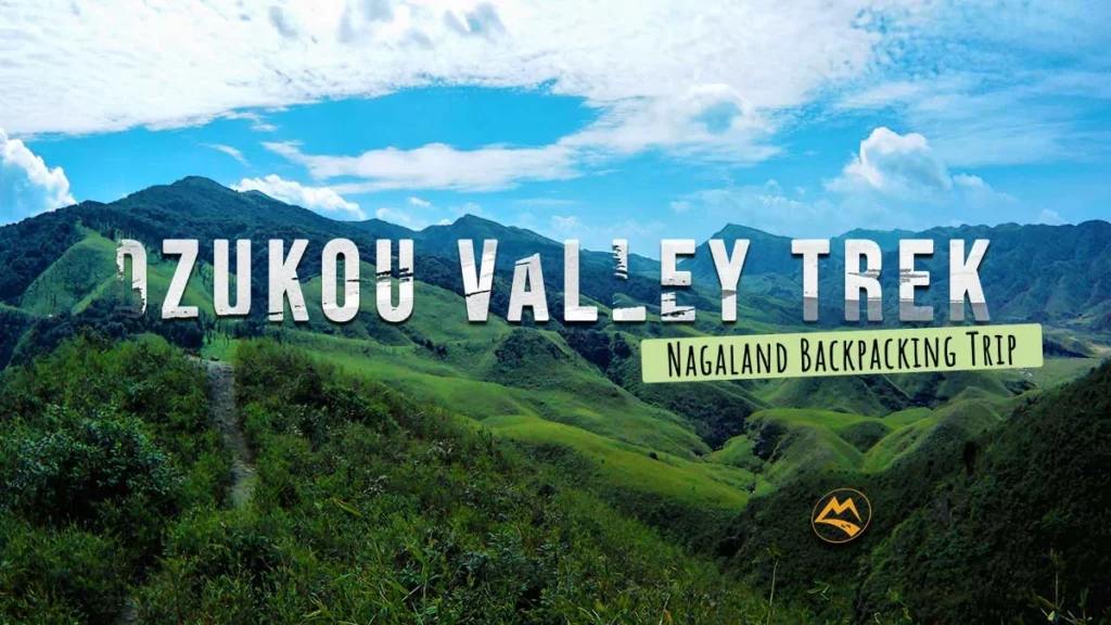 dzukou valley trek kohima nagaland 2023