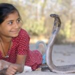 shetpal village abode of snake