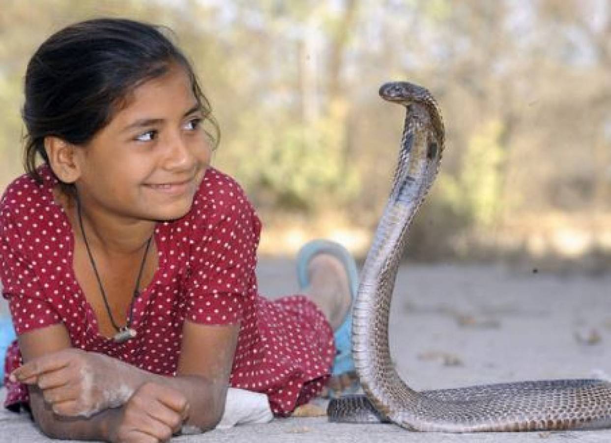 shetpal village abode of snake