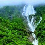 Top 10 tourist attractions in Goa