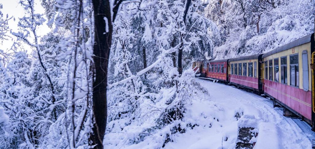 Shimla Kalka Toy Train Ride