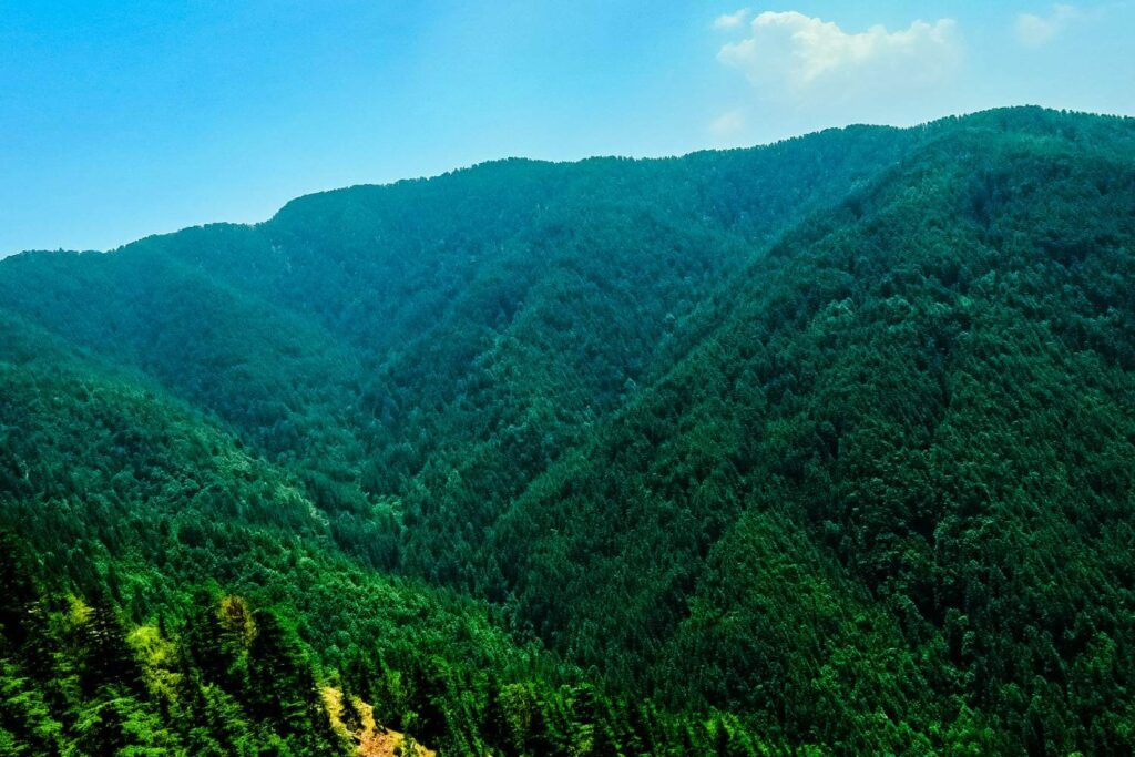Green valley shimla himachal pradesh