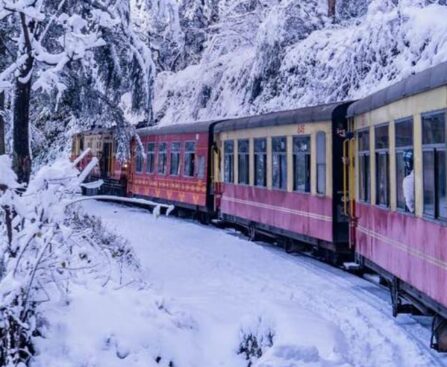Shimla Kalka Toy Train Ride